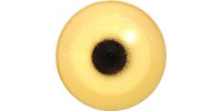 180ЕЕ ЕМ02 / Common goldeneye