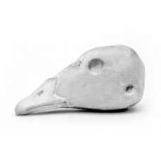 Barnacle goose head