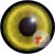 Plastic eyes ECONOMY (mammal) (35)